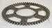 Model T Original Stewart 60 tooth 8 pitch wheel gear. - ZZZ_0351