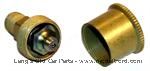 Model T 2545BGR - BRASS small grease cup, with modern zerk fitting